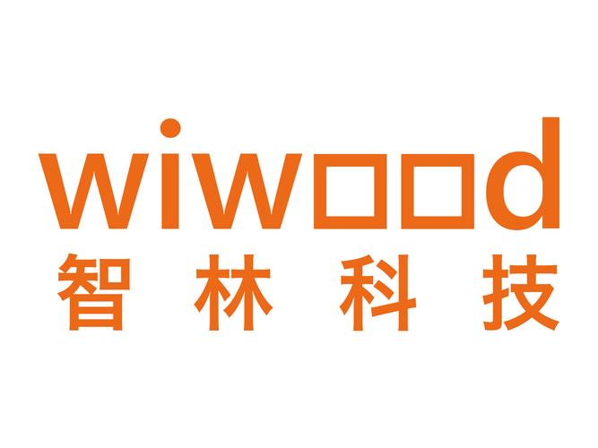 計算機軟件與信息系統軟件開發 從經營范圍到核心能力建設
